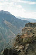 091 Colca Canyon